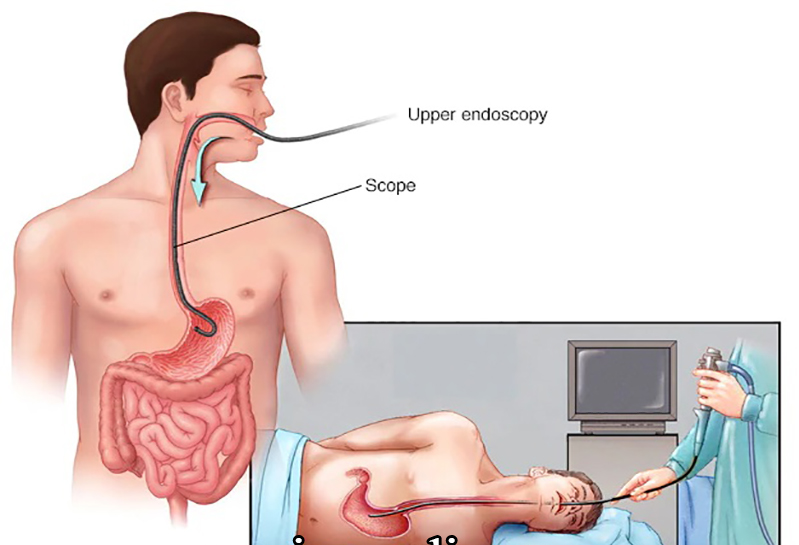 این تصویر دارای صفت خالی alt است؛ نام پروندهٔ آن image-4.png است